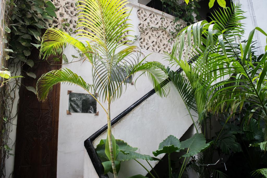 Malindi Guest House Zanzibar Exteriér fotografie