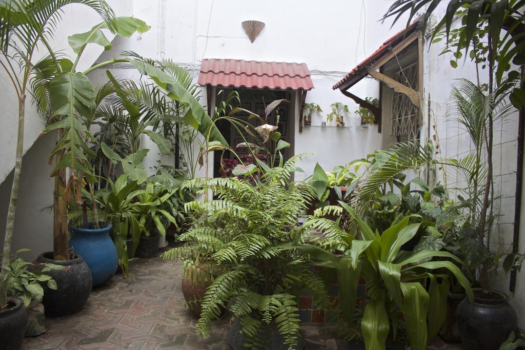 Malindi Guest House Zanzibar Exteriér fotografie