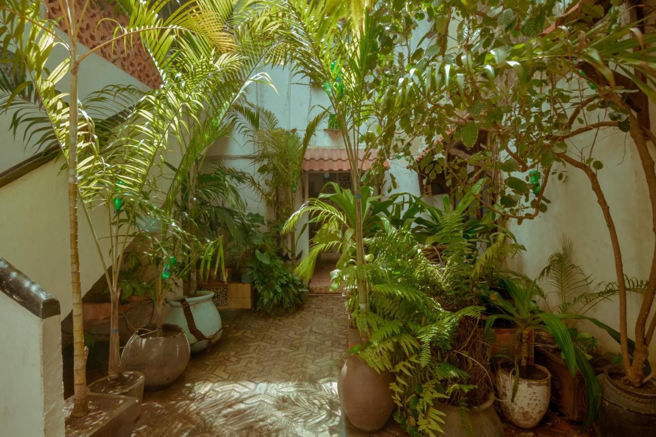 Malindi Guest House Zanzibar Exteriér fotografie