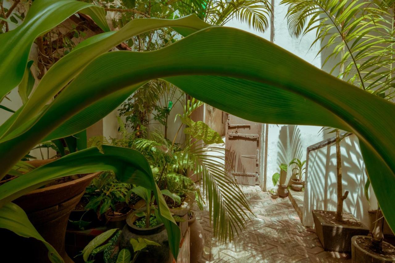Malindi Guest House Zanzibar Exteriér fotografie